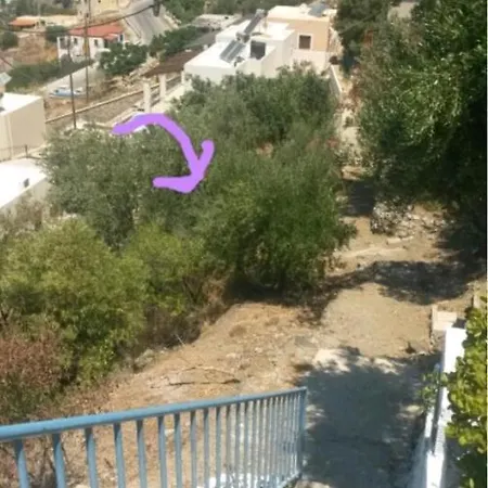 Daire Elsa's House Myrties