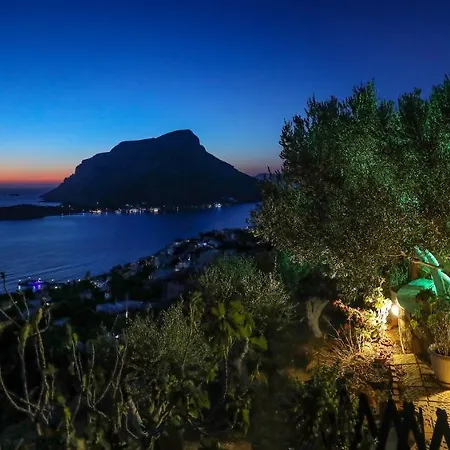 Elsa's House Myrties