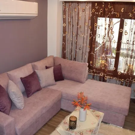 Elsa's House Daire Myrties