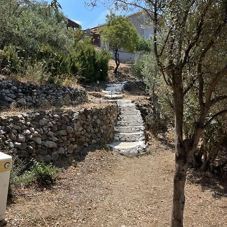 Elsa's House Daire Myrties