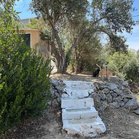 Elsa's House Daire Myrties