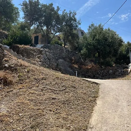 Daire Elsa's House *