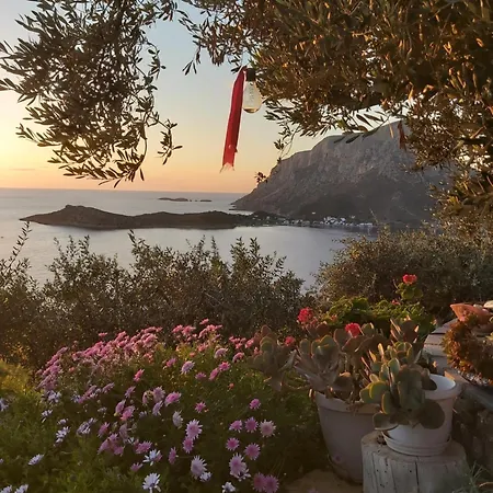 Elsa's House Myrties