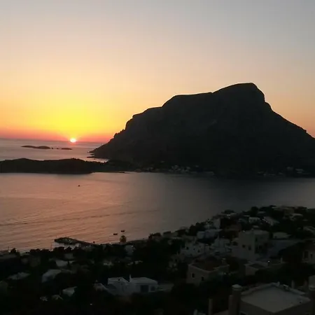 Elsa's House Myrties