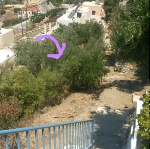 Διαμέρισμα Elsa's House Μυρτιές