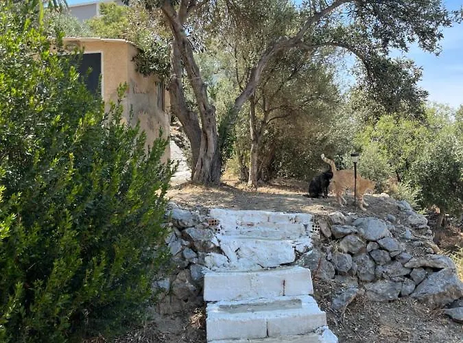 Elsa's House Διαμέρισμα Μυρτιές