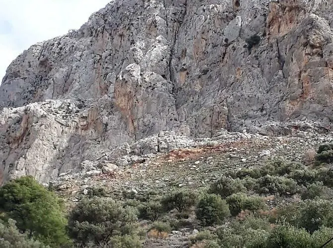 Elsa's House Διαμέρισμα *